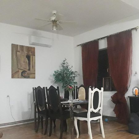 Appartement Tina à Tekija  Extérieur photo