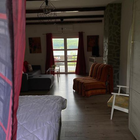 Appartement Tina à Tekija  Extérieur photo