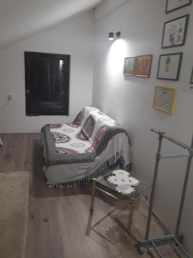 Appartement Tina à Tekija  Extérieur photo